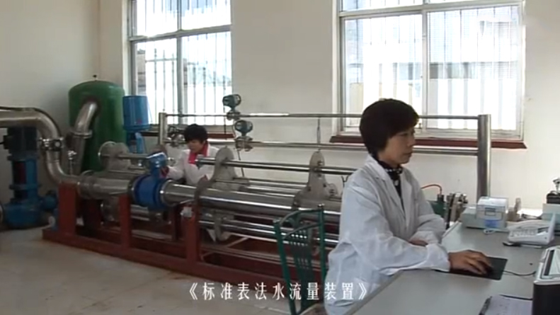 標準表法水流量裝置